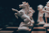 Der Aufstieg von Michael Busse im Schachjournalismus