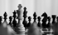 Psychologie im Schachspiel